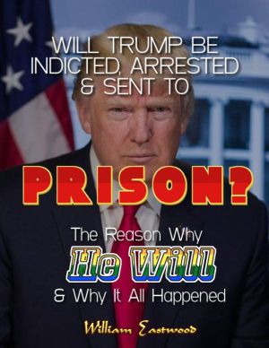 Why Trump will be indicted, arrested & sent to prison Reason why book