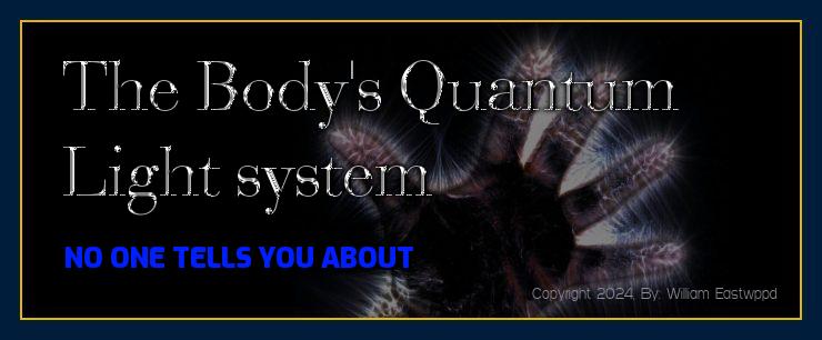 The body's quantum light system