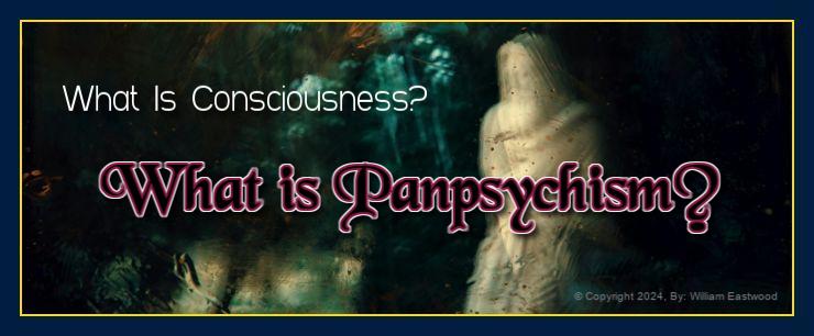 What is consciousness panpsychism navigation icon