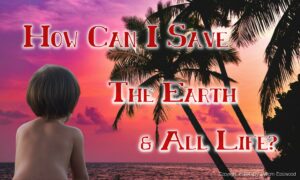 How Can I Save the Earth, Planet, World, Mankind, Myself, Everyone & All Life?